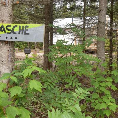 Asche1