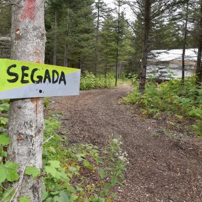 Segada1