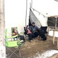 Glamping charlevoix